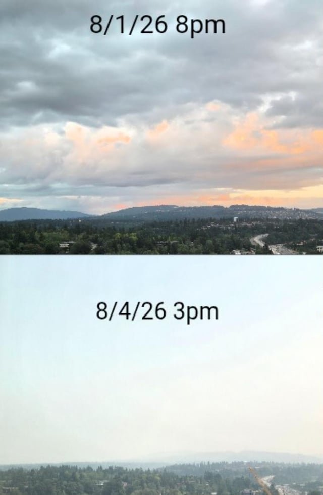 Bellevue looking SE