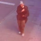 Cat killer in U district/Ravenna/Roosevelt – $5,000 reward. Please share