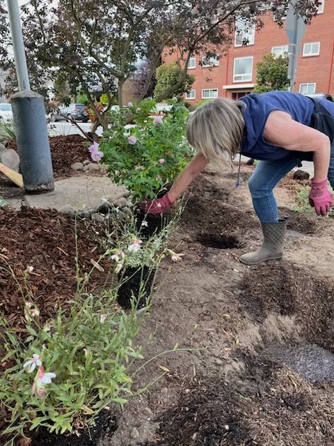 ‘This could really use some help’: How one woman led the transformation of an overgrown West Seattle Junction corner