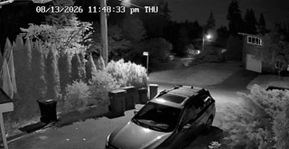 I know the sub is probably gonna be flooded with these, my driveway view of the meteor tonight