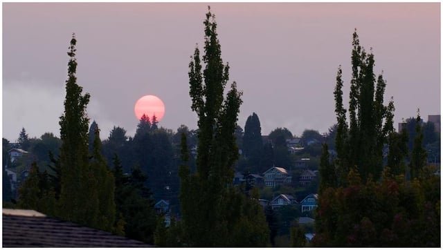 The sunrise today looked very dystopian.(Ballard)