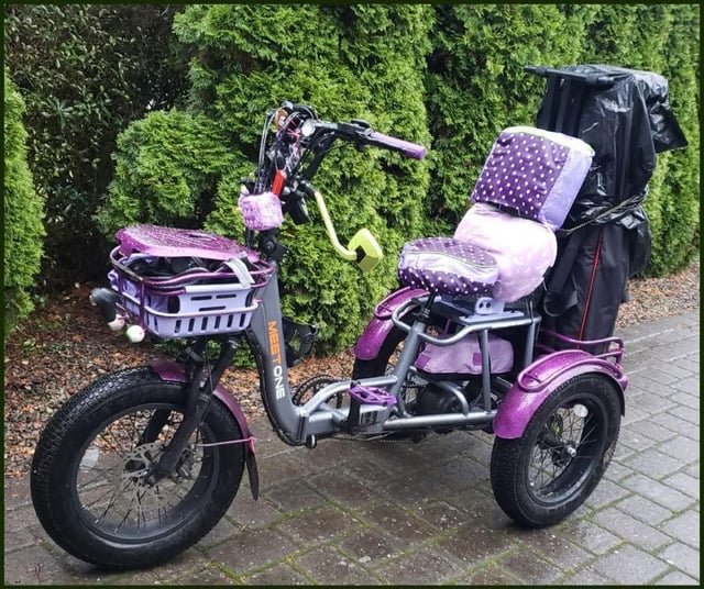 Help Friend Find Missing Bike (Trike)