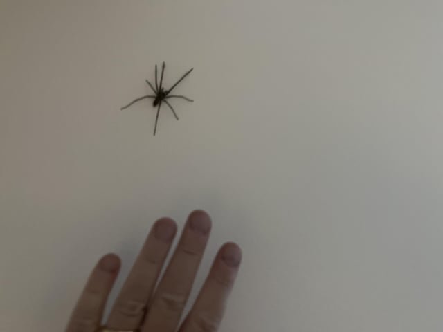 Looking for love