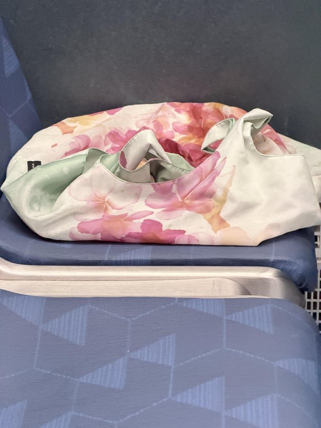 Lost bag on the 2 Line