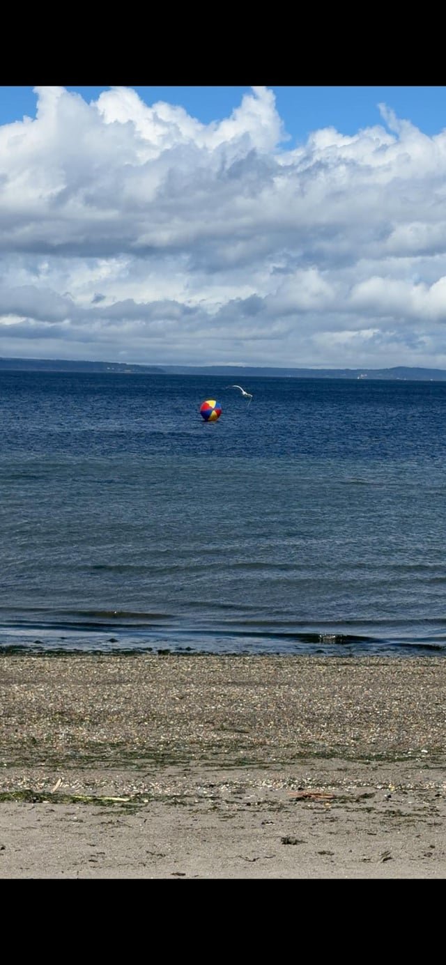 Your beach ball is now in Magnolia