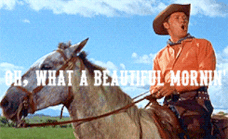 Literally me in the morning when I see a high of 72 and soft clouds