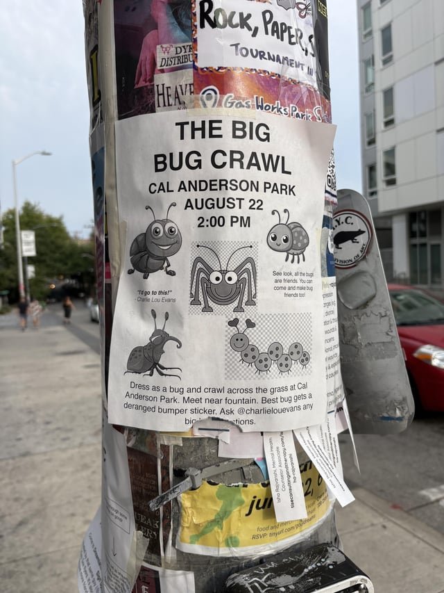 Big Bug Walk