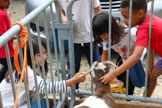 VIDEO: Goat, lions, lanterns at West Seattle Vietnamese Cultural Center Children’s Moonlight Festival