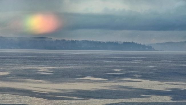 Our highlight list for your West Seattle Friday!