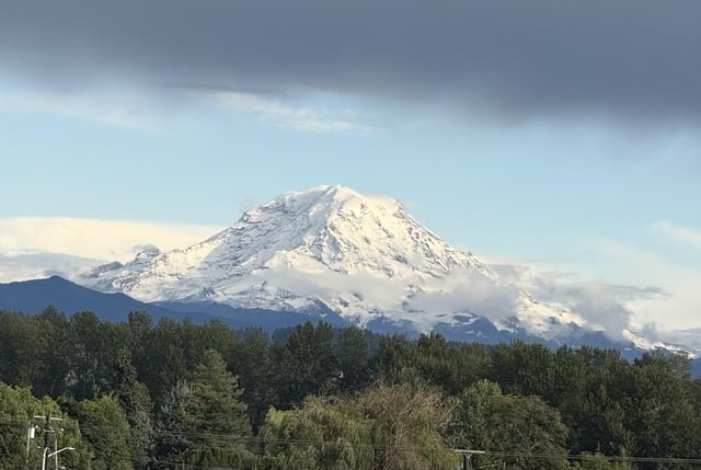 Rainer with a fresh winter coat 😩