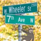 A sloth has appeared in Queen Anne