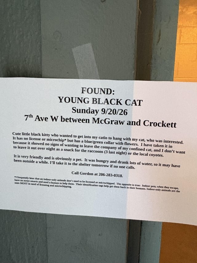 Found: black cat in QA