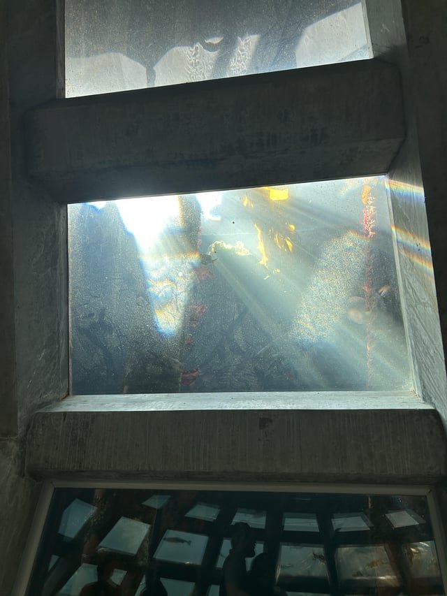 Seattle Aquarium Dome
