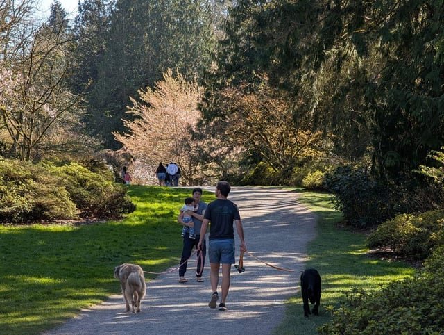 Op-Ed: Seattle Needs More Than a 10-Minute Walk or Roll to a Park