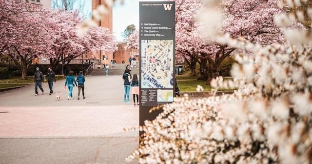 Profs and staff give UW a failing grade for budget and bureaucracy troubles