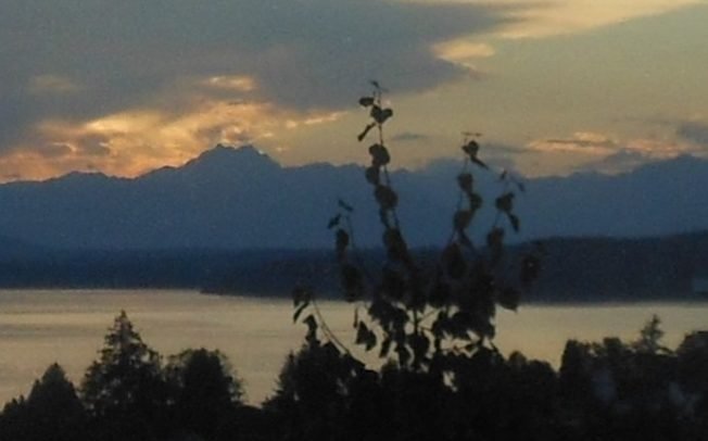 Admiral Neighborhood Association’s new night/place, outdoor movie, much more for your West Seattle Wednesday