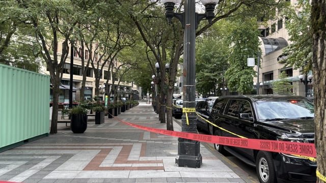 Judge sets $2M bail for man arrested in Westlake Park beating death investigation
