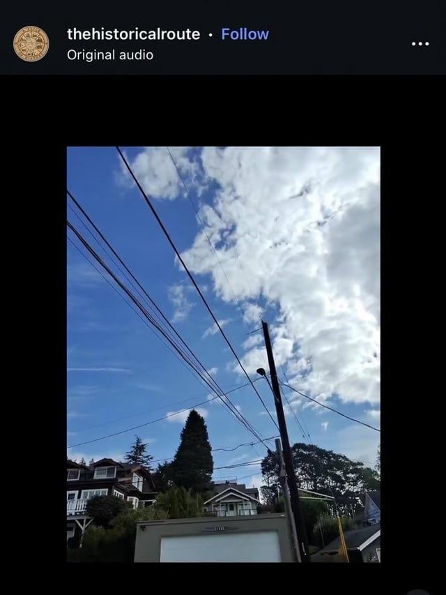 Have y’all seen this?!