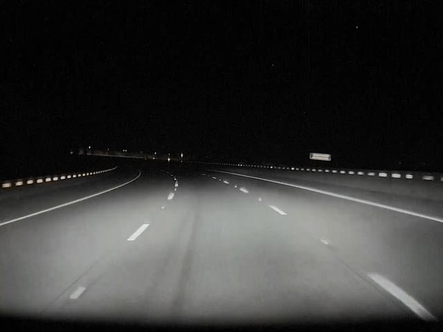 Near miss with elk on I-90