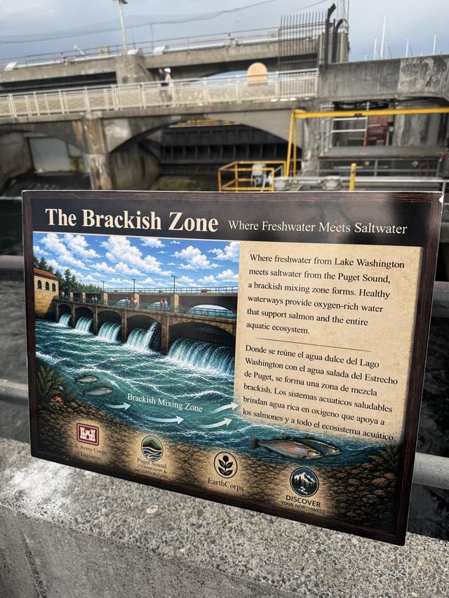 AI art on Ballard Locks info placard