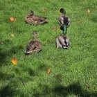 The strangest interaction I’ve ever had at Cal Anderson