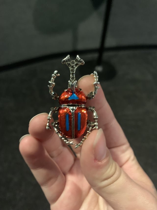 if you attended GIC’s screening of Butthole Surfers: The Hole Truth and Nothing Butt, and you lost your beetle broach