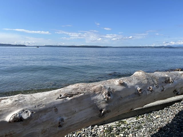 West Seattle views.