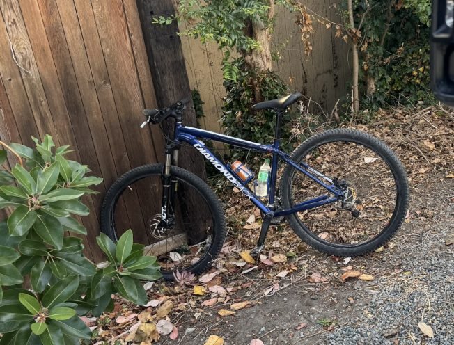 Recognize this bicycle, apparently abandoned in alley?