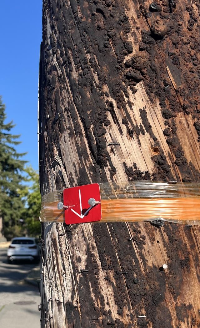 What is this in Seattle?