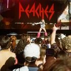 Peaches at Bumbershoot 2026