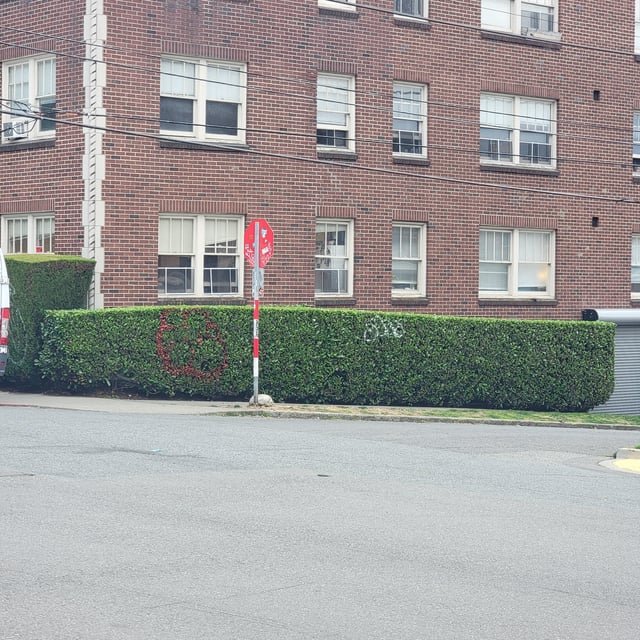 We graffiti plants now? Seriously?