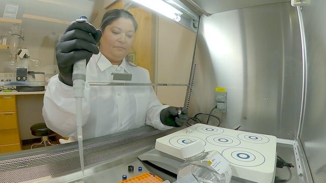 Northwest researchers develop vaccines to prevent opioid overdose and support addiction recovery