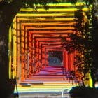 Ben Zamora’s “The Gathering” shot through the 22x screw-on lens