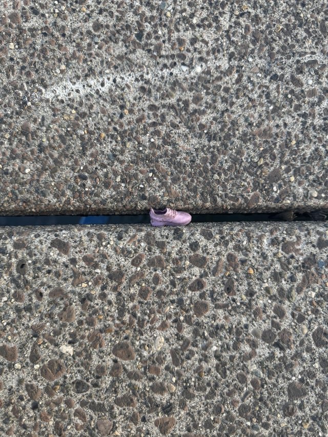 Someone left their shoe on the Fremont bridge!