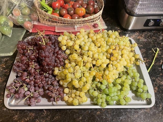 Looking for Grapes and Apples to pick in exchange for Jelly/Jam