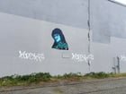 Building owner (presumably) paints over tags around WEIRD AL mural but leaves AL behind