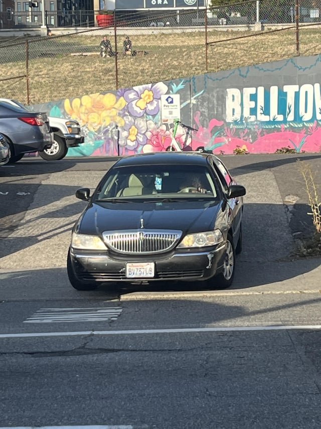 Dog attacked in Belltown today