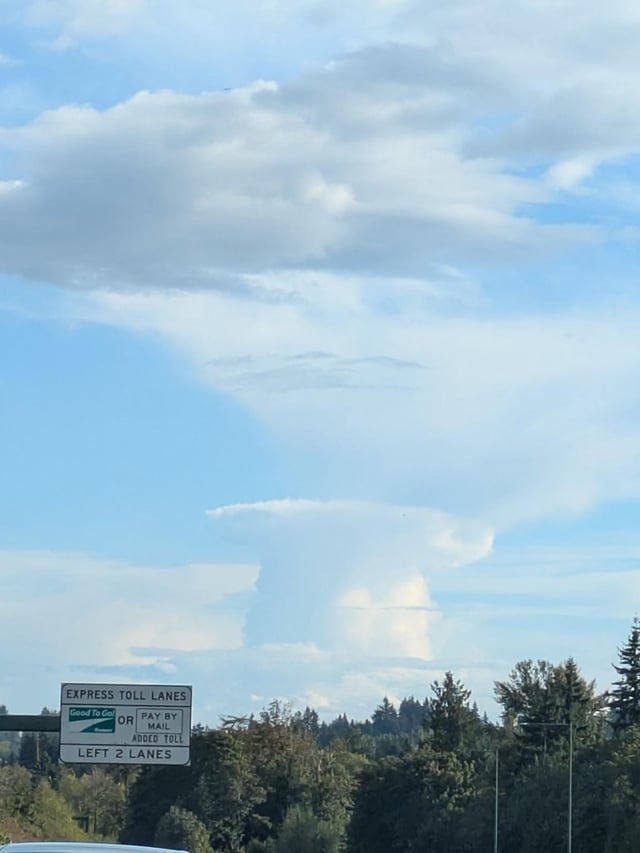 Did someone finally blow up Bellevue?
