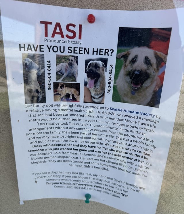 Stolen Dog Adopted from Seattle Human 6/14!!
