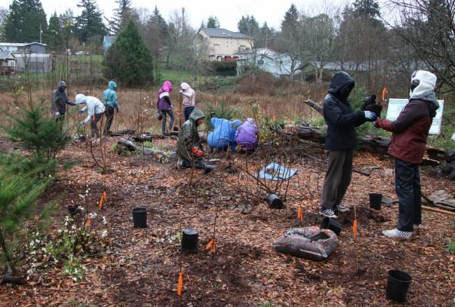 GOT 5 MINUTES? Here’s a request for your thoughts about Seola Pond area access