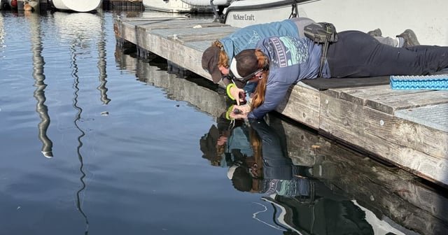 Move over, Halloween. It’s Docktober on Puget Sound