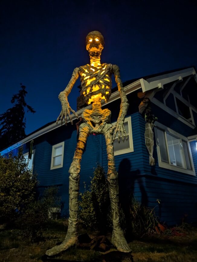 WEST SEATTLE DECORATIONS: First reader photo