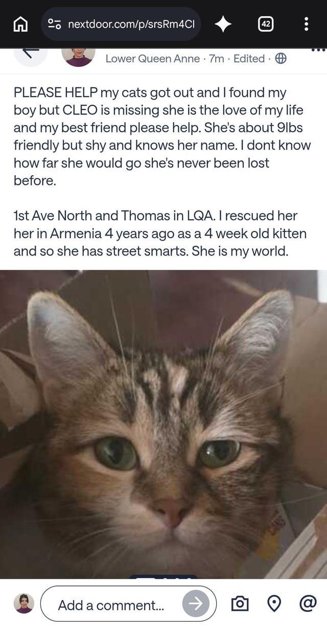MISSING CALICO CAT 10/4 IN LQA