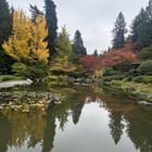 Beautiful Saturday at the Japanese Botanical Garden