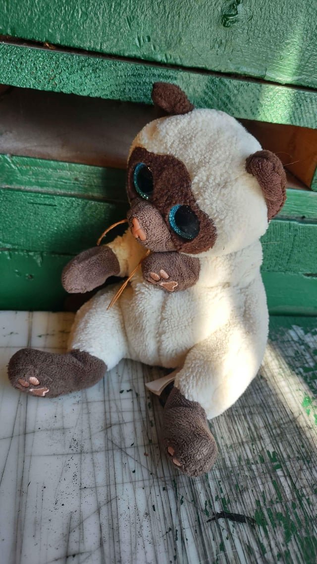 Lose a plushie at Pike Place?