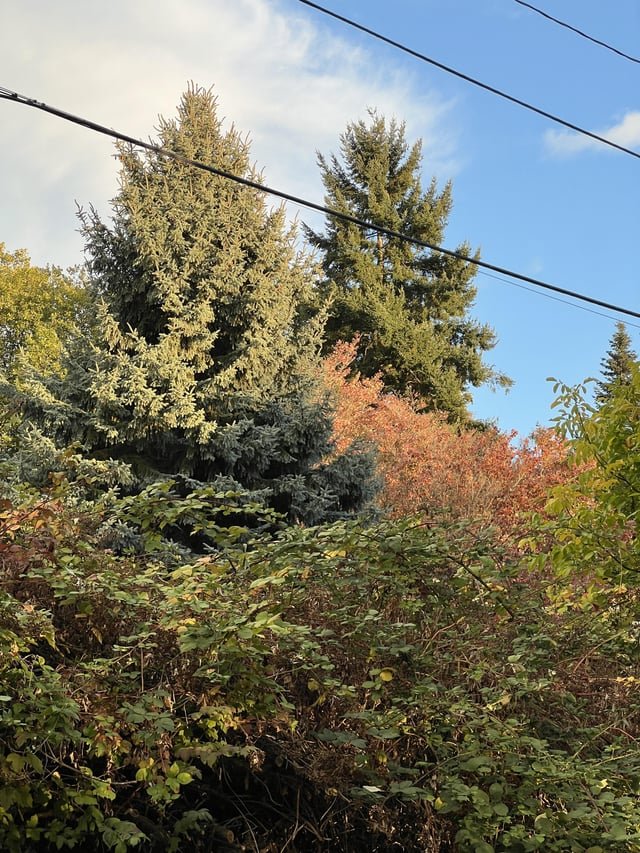 It’s spooky fall y’all!
