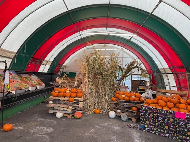 BIZNOTE FOLLOWUP: Tony’s Pumpkin Patch opens