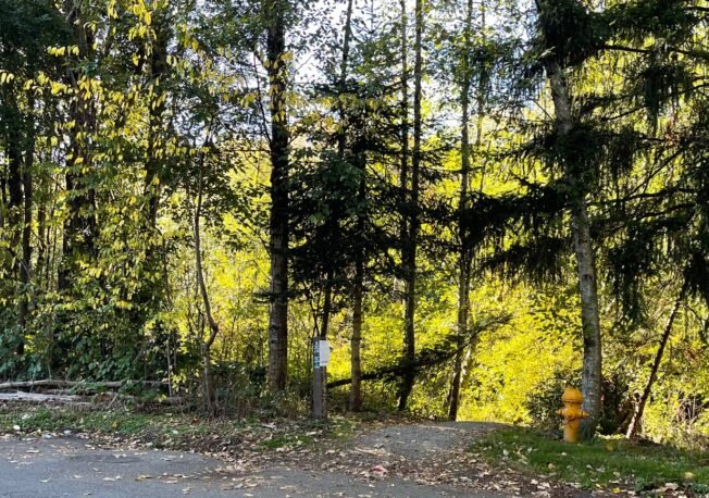 FOLLOWUP: City plans to sweep Longfellow Creek encampment that school warned families about