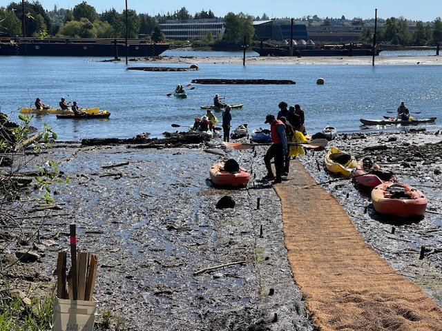 WEEK AHEAD: You can be part of fall 2026 Duwamish Alive! next Saturday