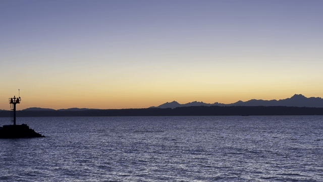 Whales at Golden Gardens Park?